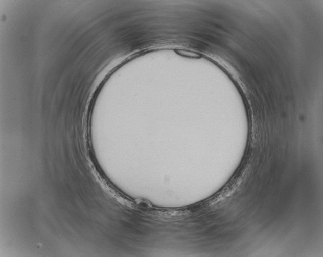 X0000066080949200604071728