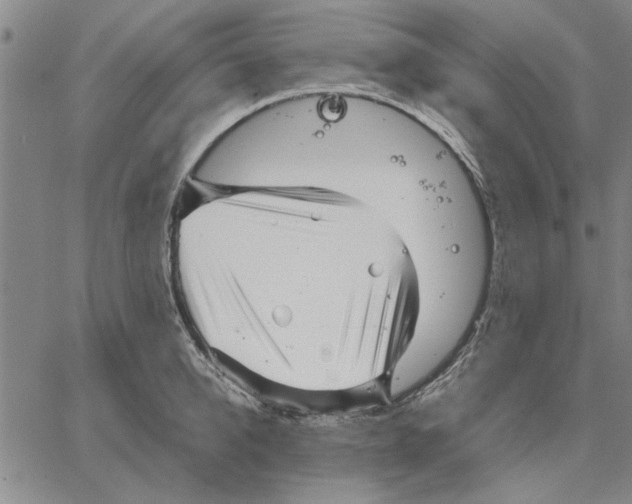 X0000066080950200604071728