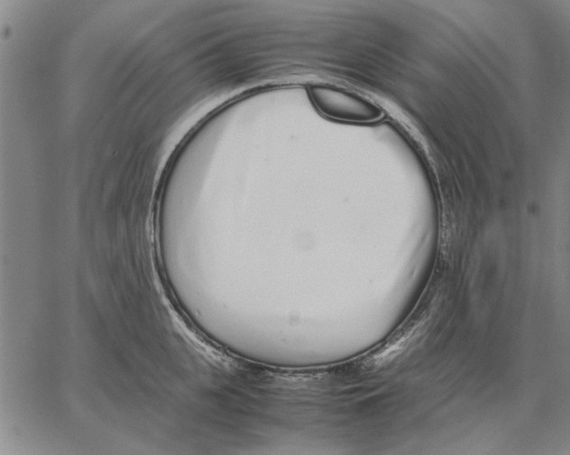 X0000066080951200604071728