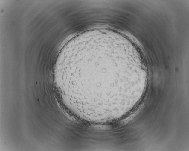 X0000066080953200604071728