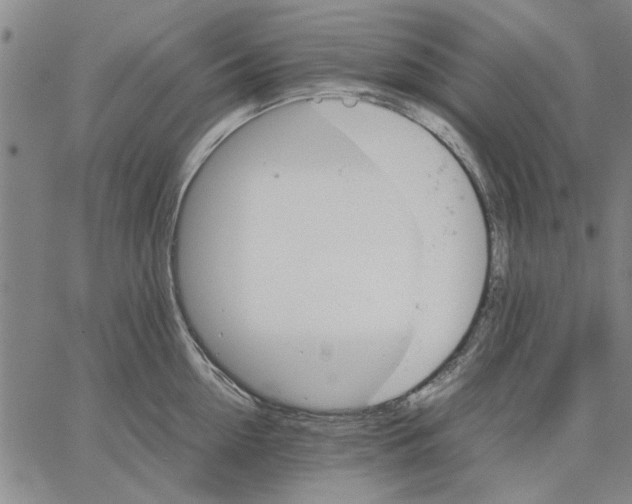 X0000066080954200604071728