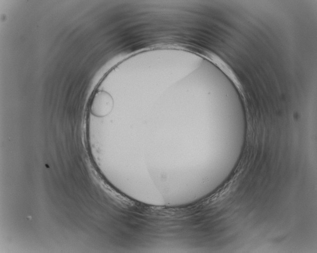 X0000066080955200604071728