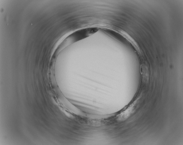 X0000066080956200604071728