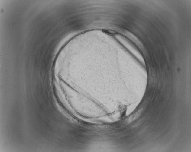 X0000066080958200604071728