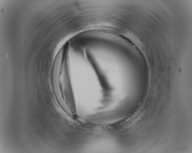 X0000066080960200604071729