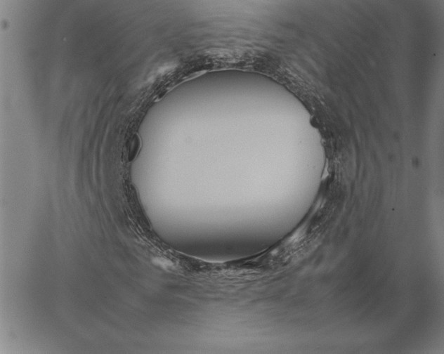 X0000066080961200604071728