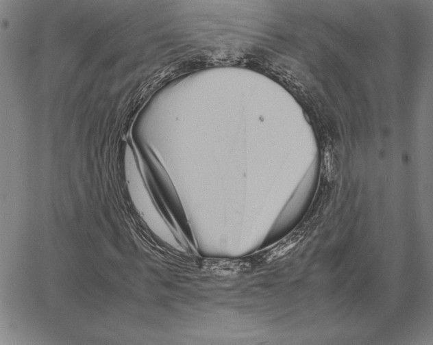 X0000066080963200604071728