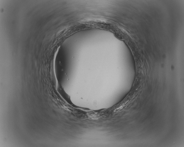 X0000066080965200604071728