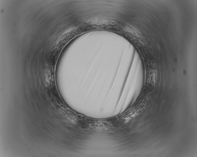 X0000066080966200604071728