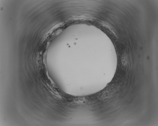 X0000066080968200604071728