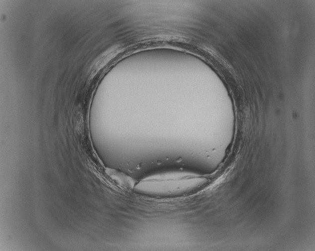 X0000066080969200604071728