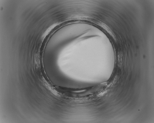 X0000066080972200604071728