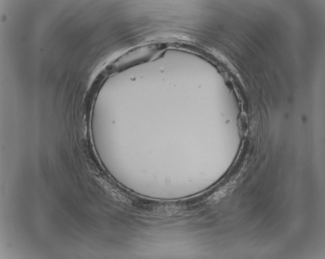 X0000066080973200604071728