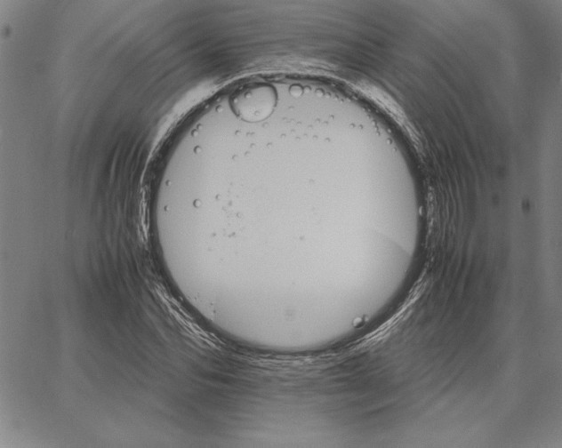 X0000066080974200604071728