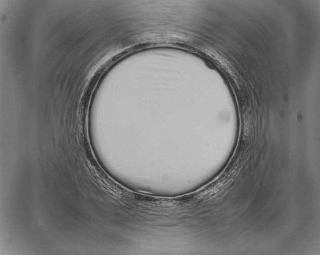 X0000066080975200604071727