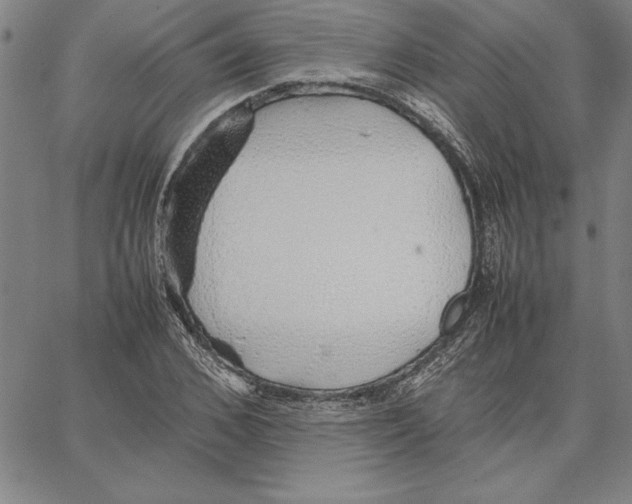 X0000066080976200604071727