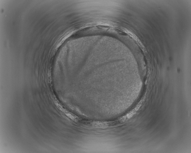 X0000066080977200604071727