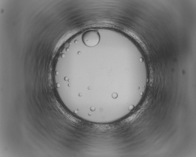 X0000066080978200604071727