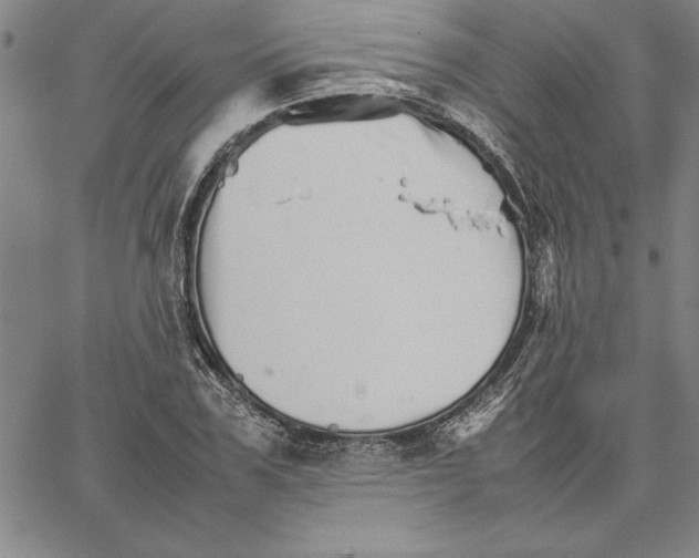 X0000066080979200604071727