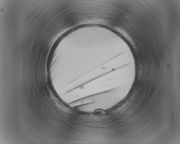 X0000066080980200604071727