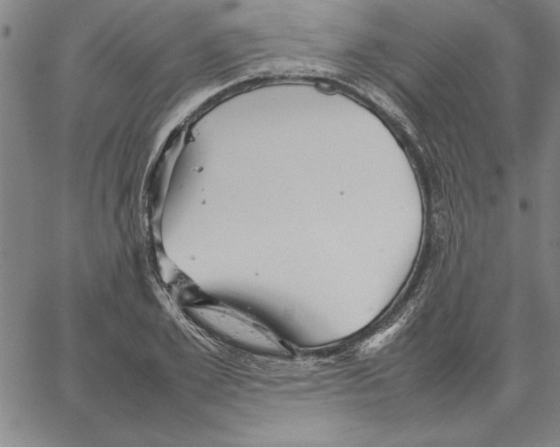 X0000066080981200604071727