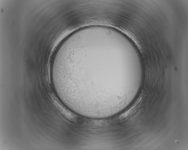 X0000066080982200604071727