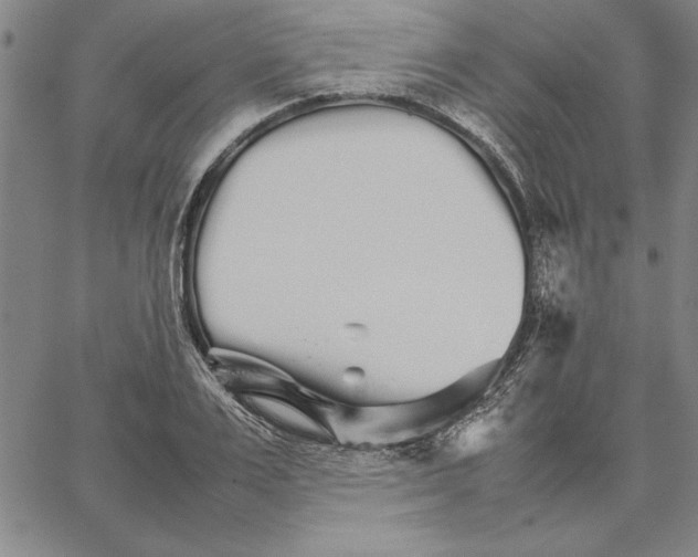 X0000066080983200604071727