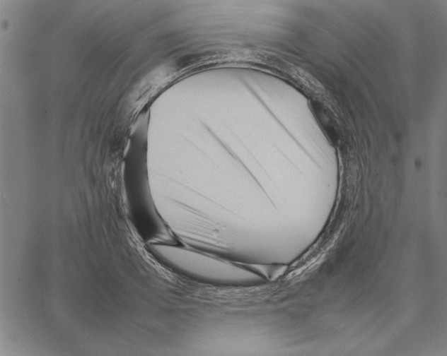 X0000066080985200604071727