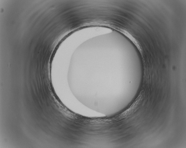 X0000066080988200604071727