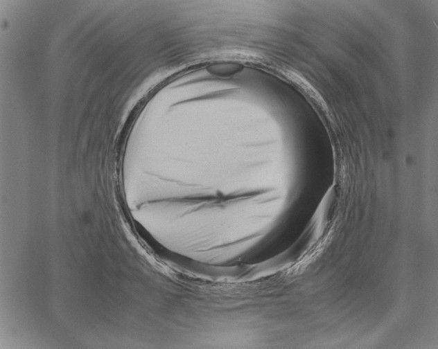 X0000066080989200604071727