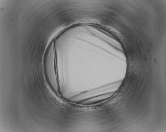 X0000066080990200604071727