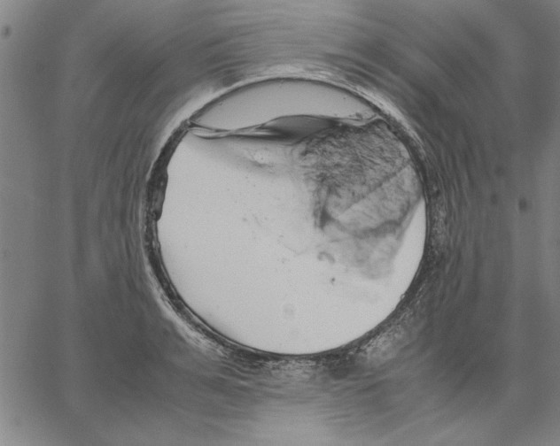 X0000066080991200604071727