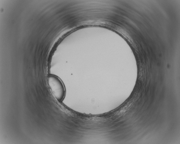 X0000066080992200604071727