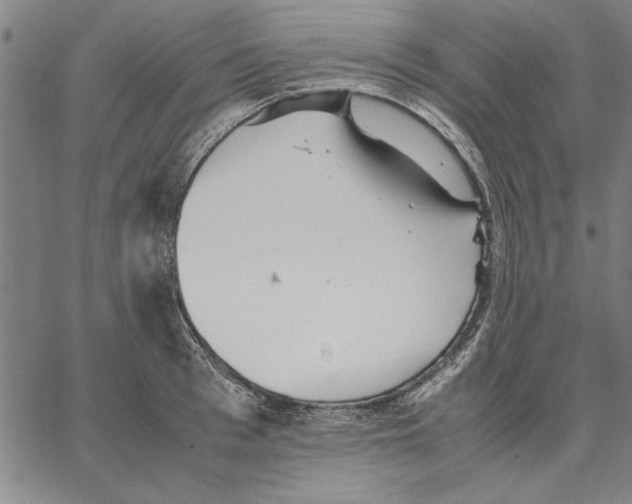 X0000066080993200604071727