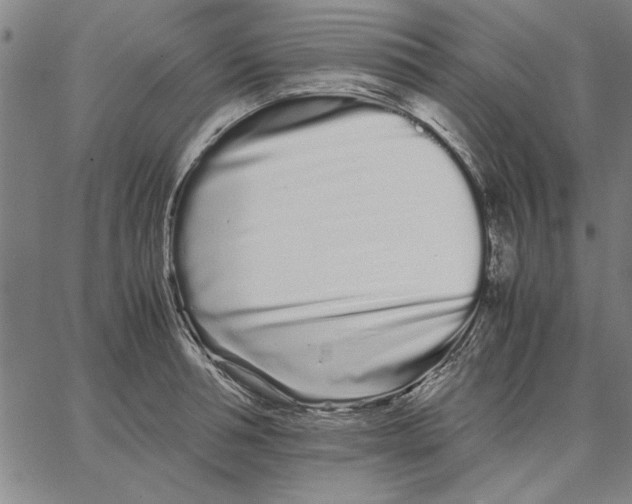 X0000066080994200604071727