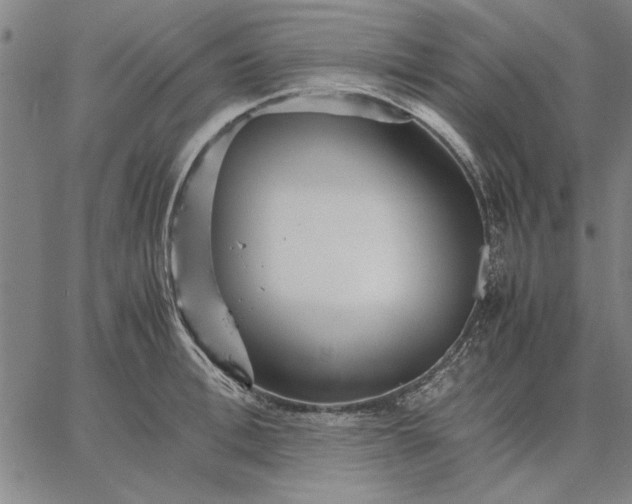 X0000066080996200604071727