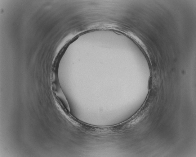 X0000066080997200604071727