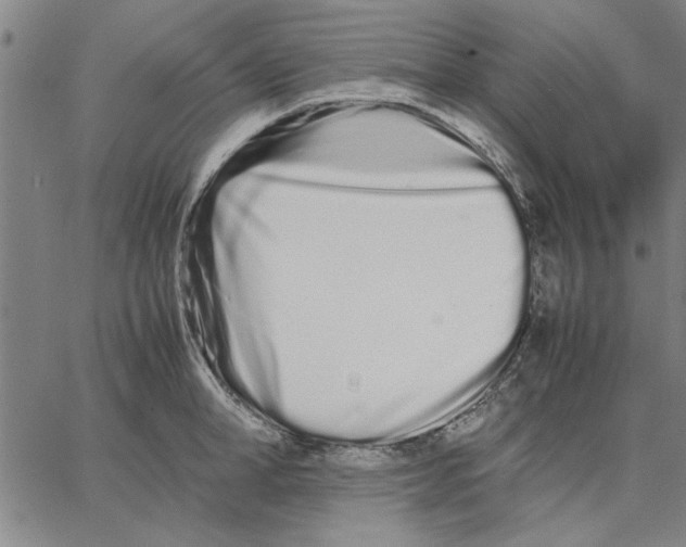 X0000066080998200604071727