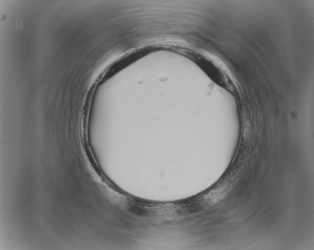 X0000066080999200604071727