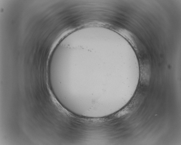 X0000066081000200604071727