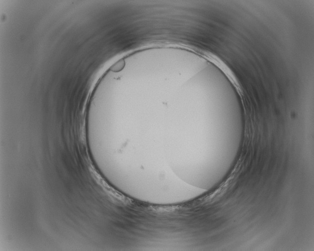 X0000066081004200604071727