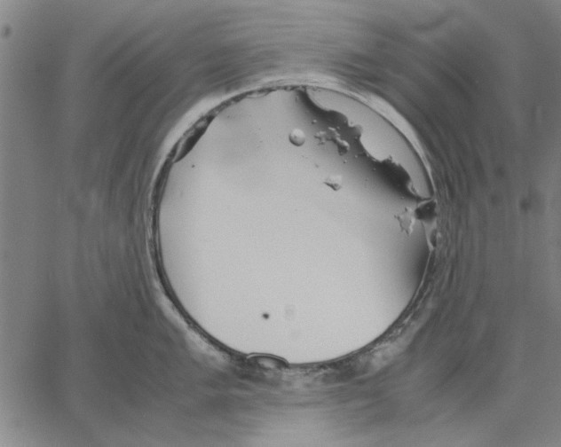 X0000066081005200604071727