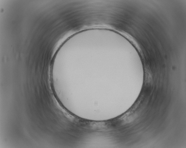 X0000066081006200604071727