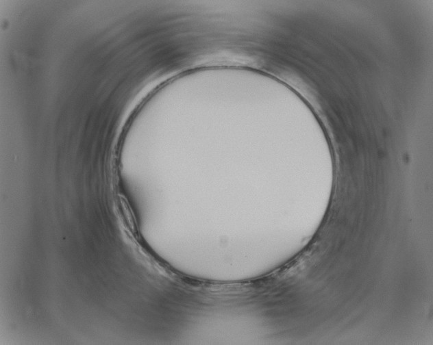 X0000066081008200604071727