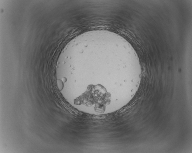 X0000066081009200604071726