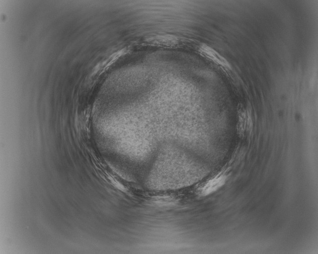 X0000066081010200604071726