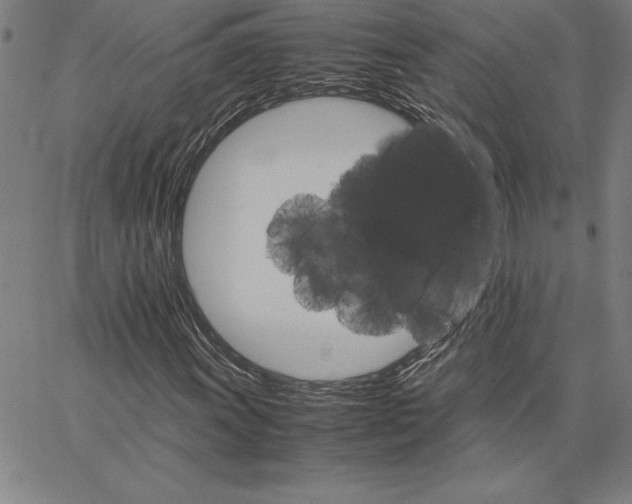 X0000066081011200604071726