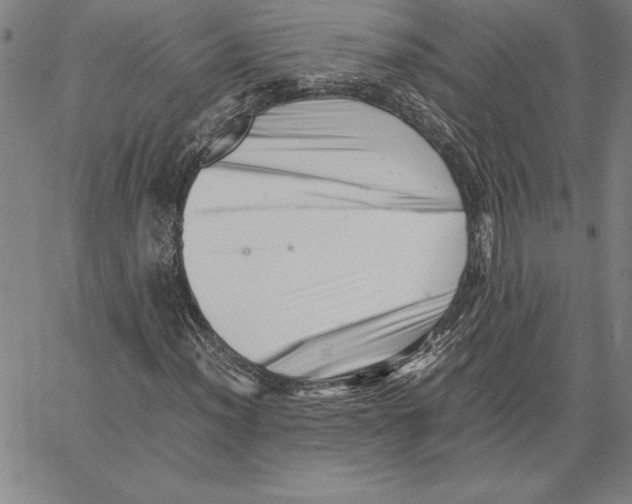 X0000066081012200604071726