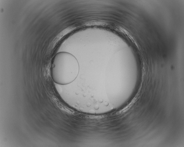 X0000066081017200604071726