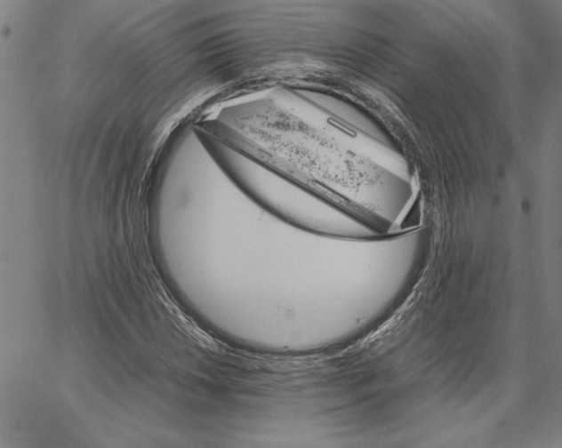 X0000066081018200604071726